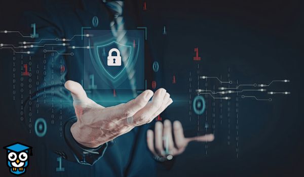 Data Government and Privacy For Organizations - GDPR and CCPA