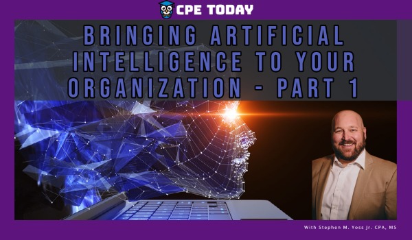 Bringing Artificial Intelligence to your Organization - Part 1